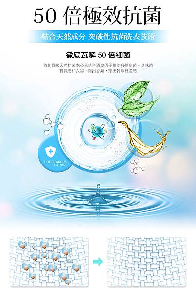 EDM06.jpg 試用