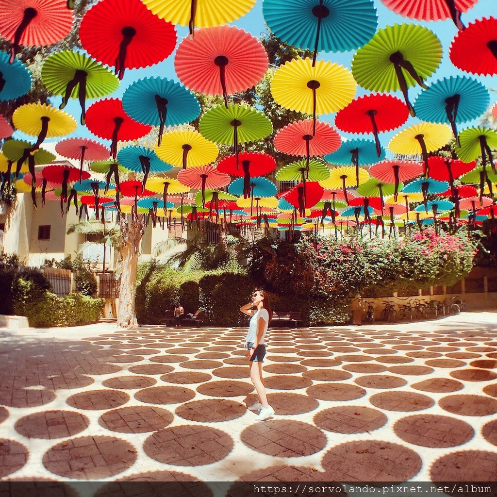 IMG_0024.JPG IMG_0024.JPG