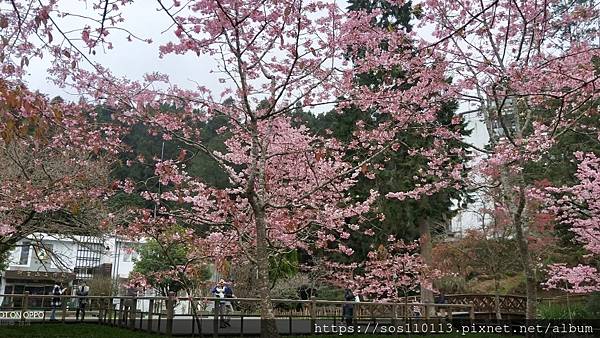 line_3566634286085.jpg line_3566634286085.jpg