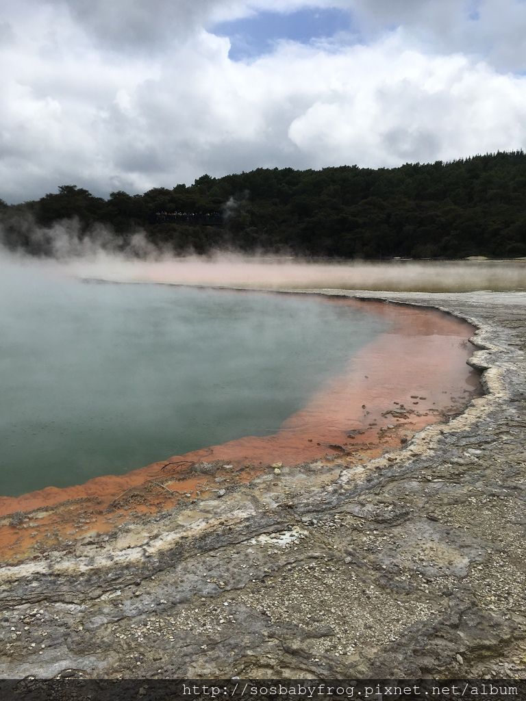 紐西蘭 北島 Day4 懷奧塔普地熱世界wai O Tapu Thermal Wonderland 市區美食街 政府花園governemt Garden 毛利米泰村mitai Moari Village Evening夜訪彩虹公園會奇異鳥