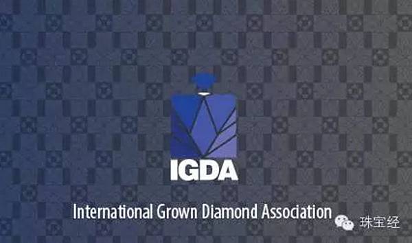 要聞：國際合成鑽石聯合會（IGDA）正式成立01.jpg
