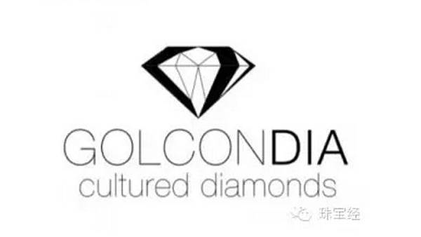 要聞：國際合成鑽石聯合會（IGDA）正式成立15.jpg