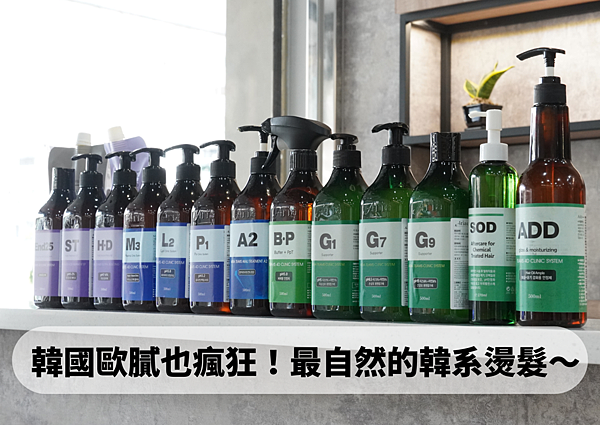 官方-首席 (19).png