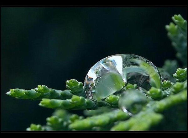Enclosure_24(PictureViewer_document).jpg Enclosure_24(PictureViewer_document).jpg