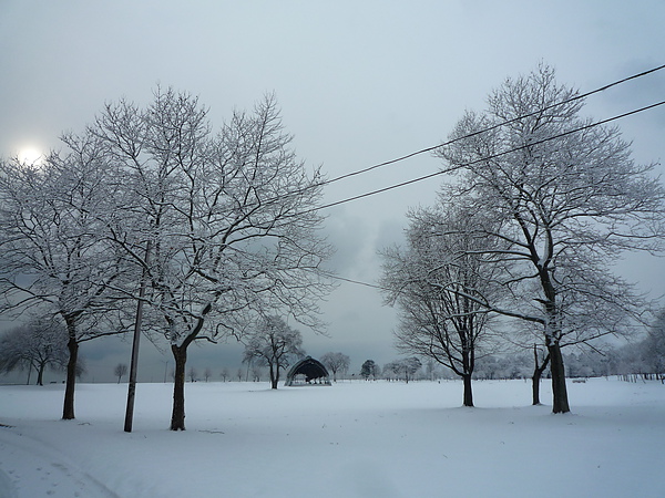 校園雪景