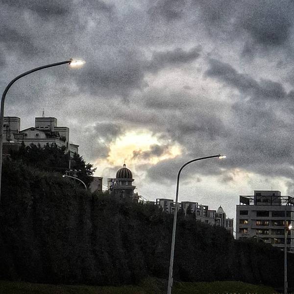 【書蟲】閱讀短評202510-2：《無眠之夜》《魔法灰姑娘》