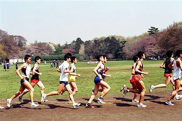 上野公園旁的操場