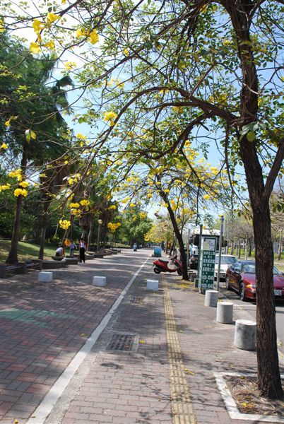 東豐路-街景35-D80