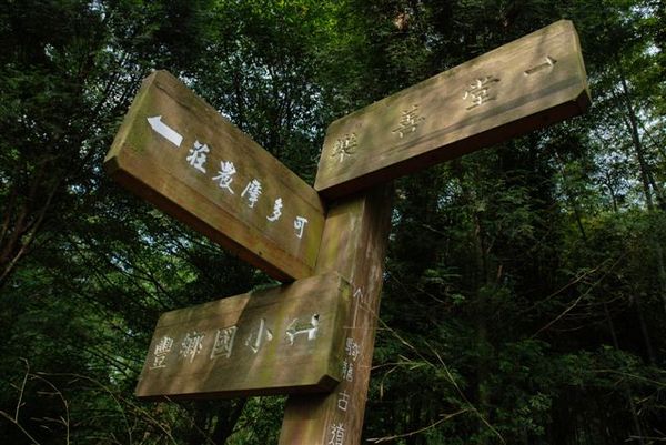 大山背12往騎龍古道上