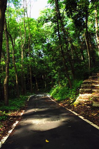 大山背13這裡就是騎龍古道