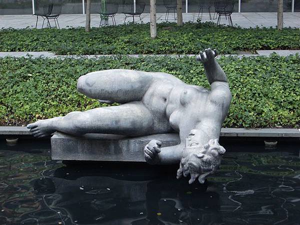 Centro de informacion Pincholl