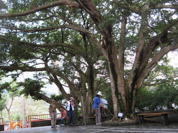 三峽插角國小