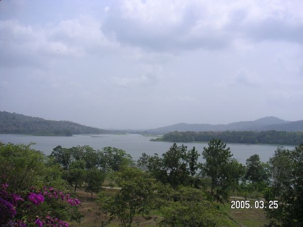 人工湖景