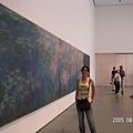 MOMA