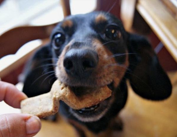 截圖 2021-01-06 下午2.13.31 截圖 2021-01-06 下午2.13.31