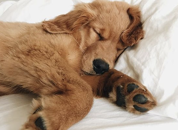 截圖 2021-01-06 下午2.14.10 截圖 2021-01-06 下午2.14.10