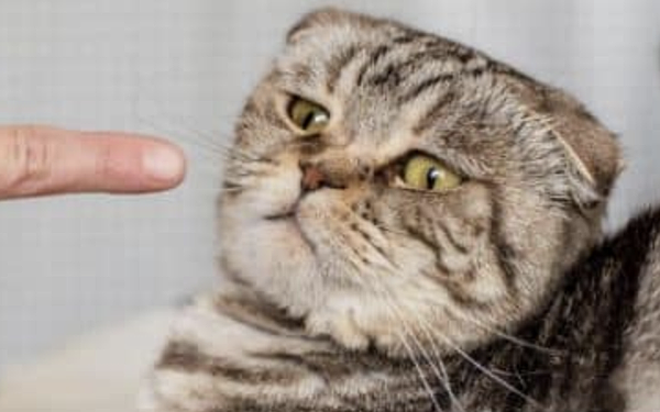 截圖 2021-01-13 上午10.33.20 截圖 2021-01-13 上午10.33.20