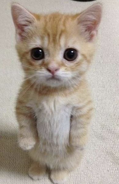 截圖 2021-01-13 上午10.44.19 截圖 2021-01-13 上午10.44.19