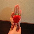 跟老婆的手掌一樣大的草莓