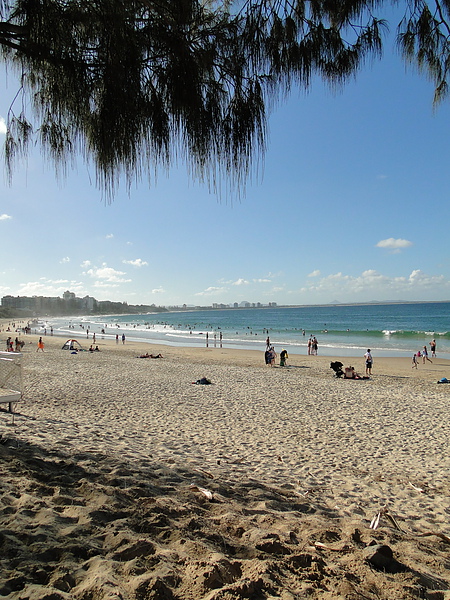 Sunshine Coast (5) 