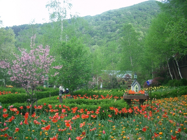 鳳凰城附近香草花園