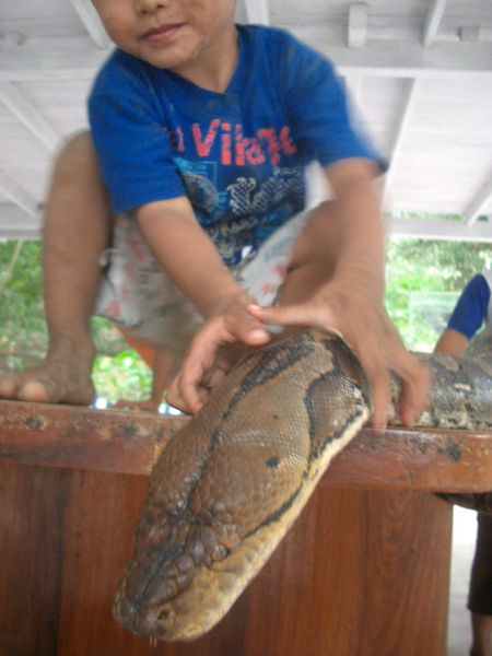 畢棟動物園 (5) 你好大膽.jpg