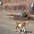 北方邦 UTTAR PRADESH法第普西克里 Fatehpur Sikri (3).JPG