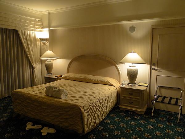 (6) 又有King Size Bed.JPG