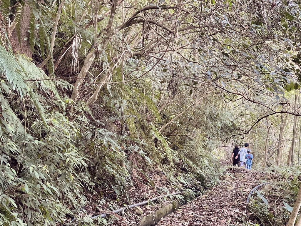 獵人 ─  秋日部落獵人小旅行踩線團全紀錄