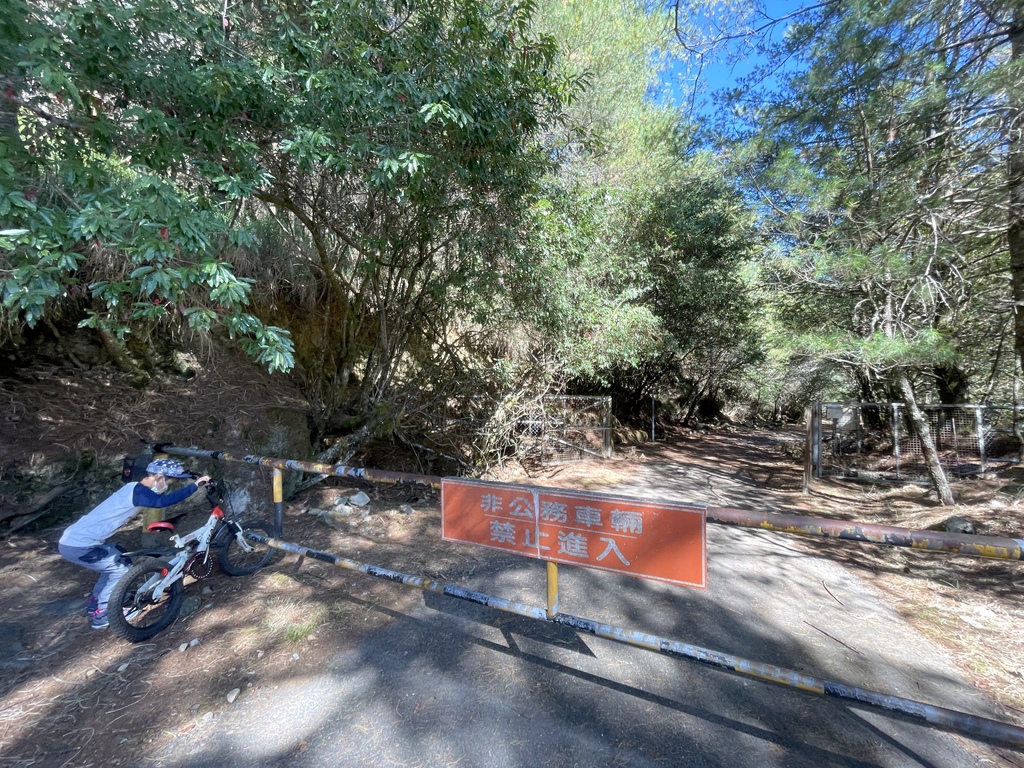 追山 ─ 大雪山200林道50K + 北三叉山登山口親子騎乘