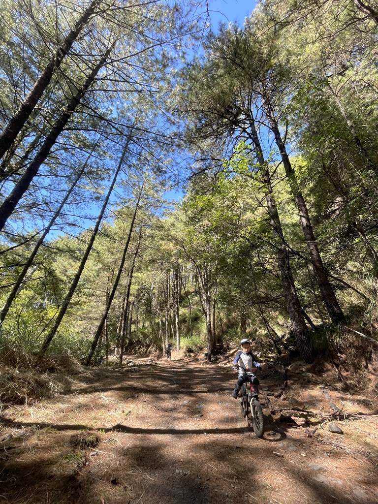 追山 ─ 大雪山200林道50K + 北三叉山登山口親子騎乘