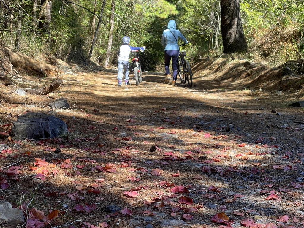 追山 ─ 大雪山200林道50K + 北三叉山登山口親子騎乘