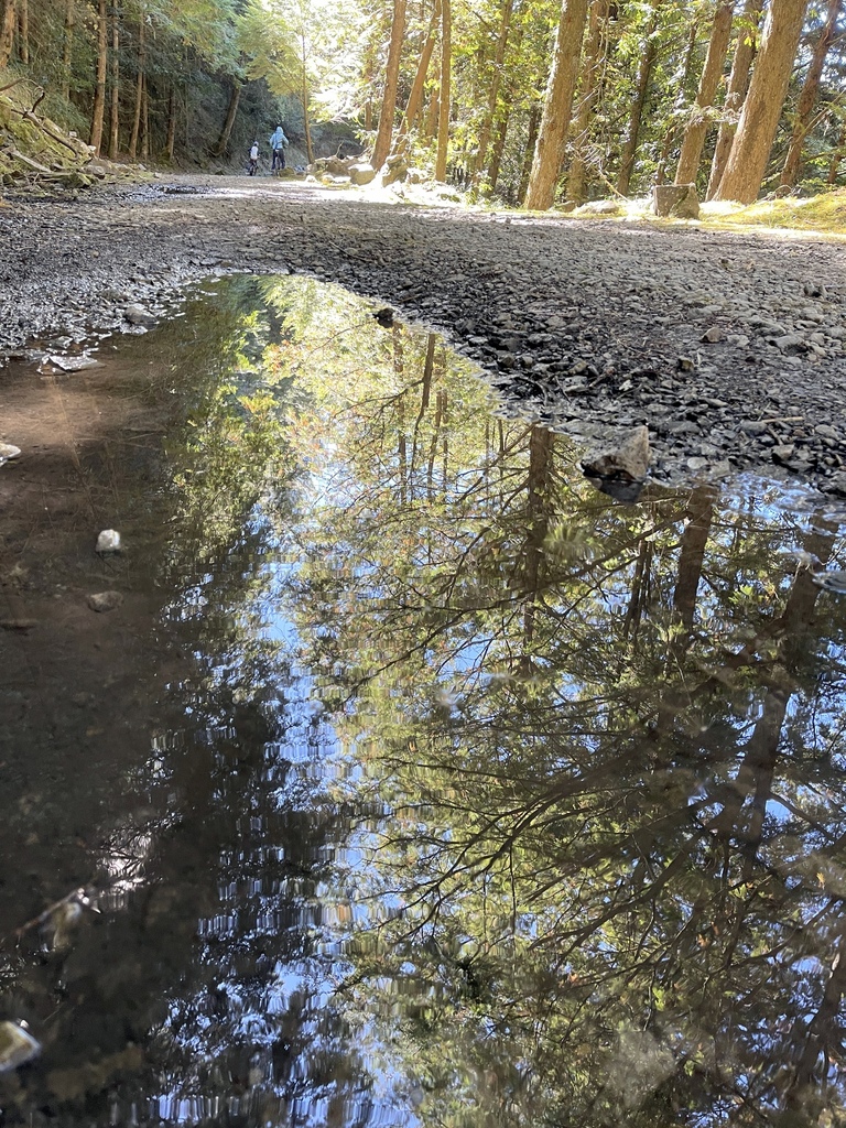 追山 ─ 大雪山200林道50K + 北三叉山登山口親子騎乘