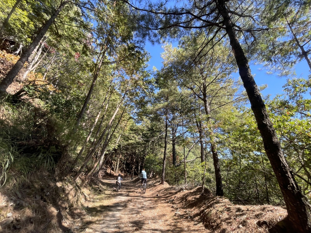 追山 ─ 大雪山200林道50K + 北三叉山登山口親子騎乘