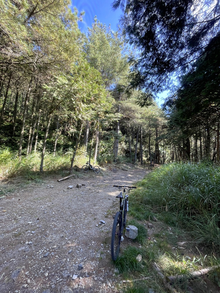 追山 ─ 大雪山200林道50K + 北三叉山登山口親子騎乘