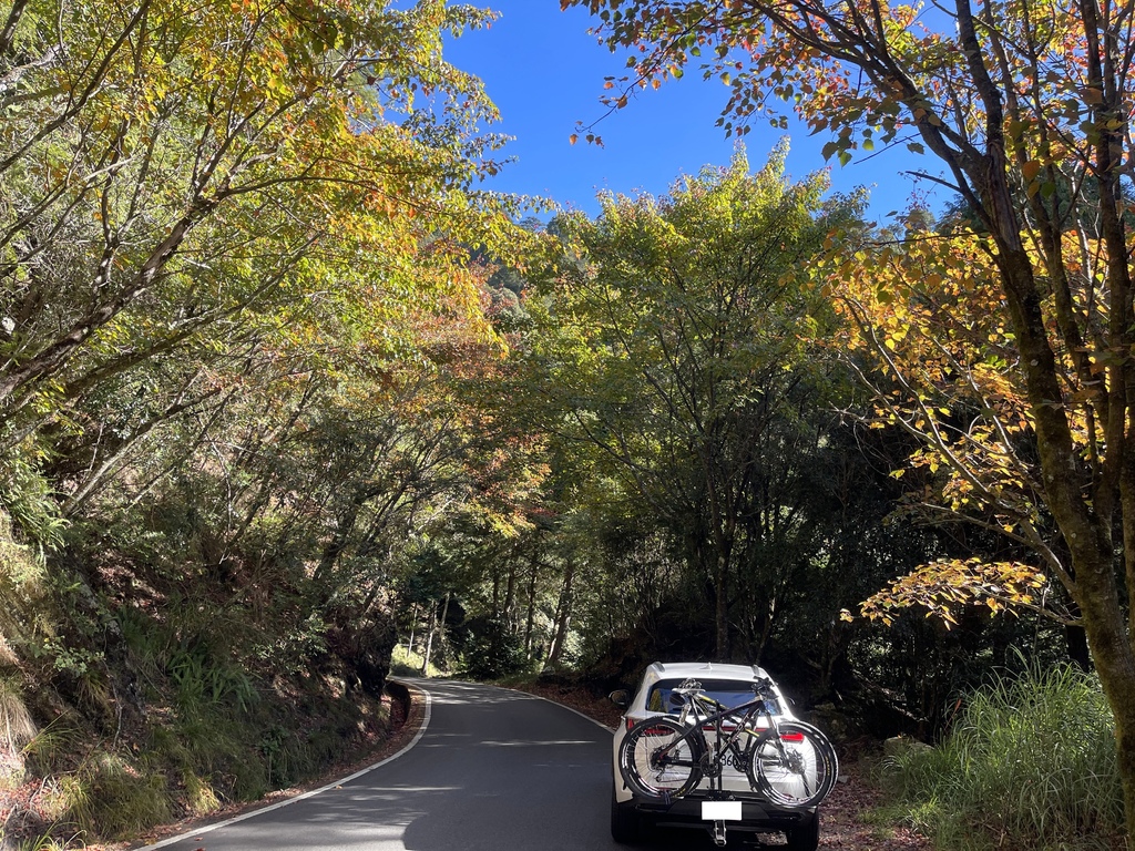 追山 ─ 大雪山200林道50K + 北三叉山登山口親子騎乘