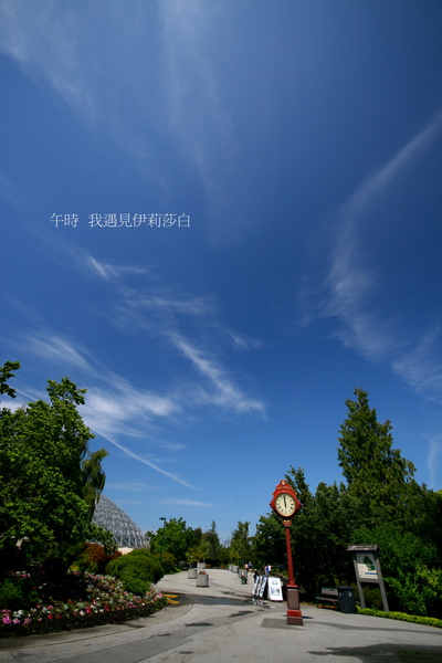 29.jpg 29.jpg