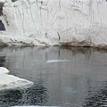 白鯨池