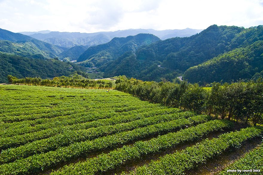 南山寺鳥瞰大舌湖