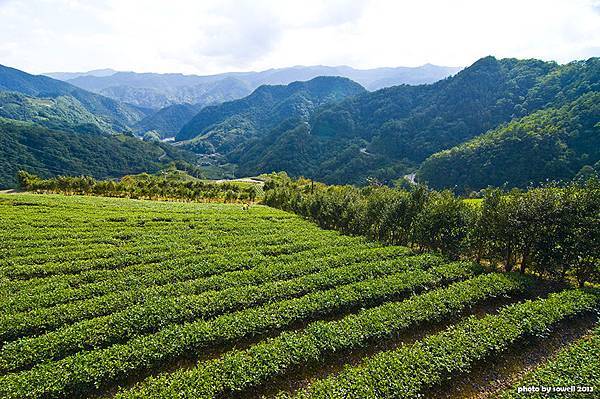 南山寺鳥瞰大舌湖