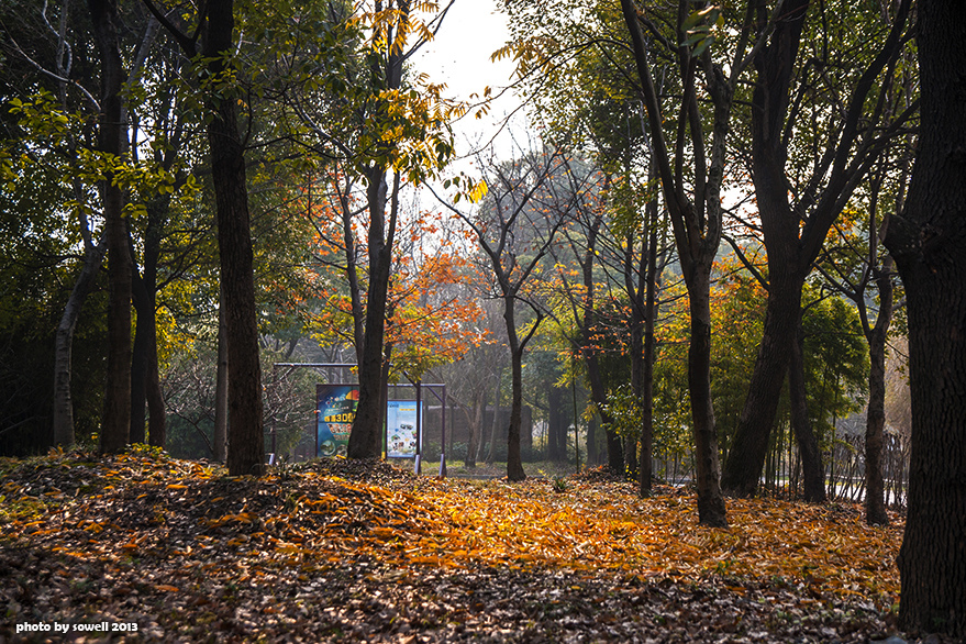 西溪濕地公園 西溪濕地公園