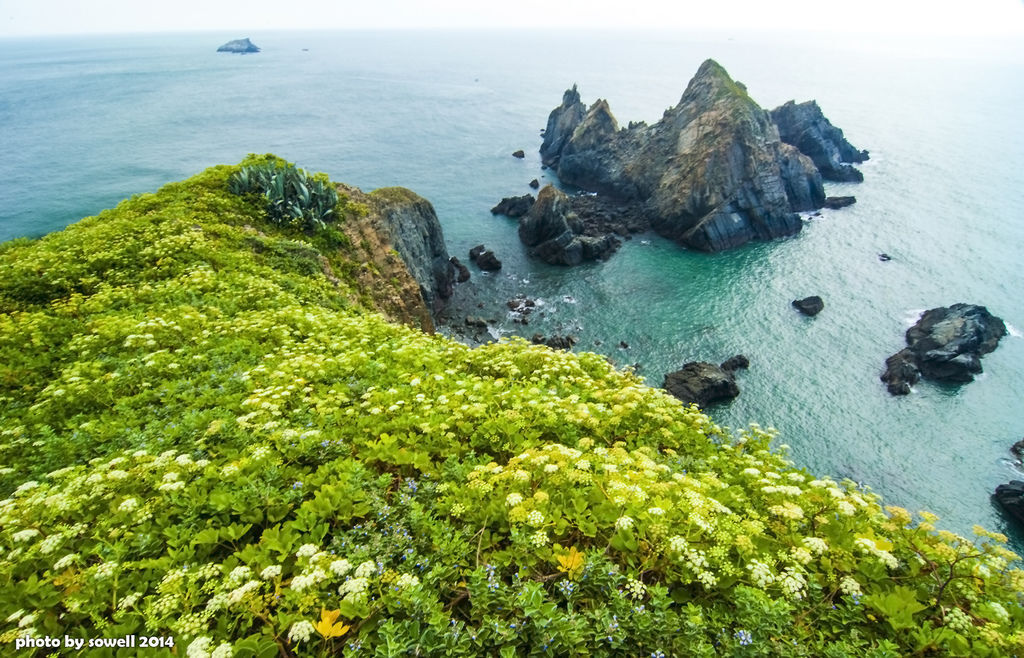 東莒青山