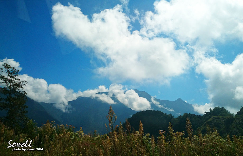 DSC_2270 DSC_2270