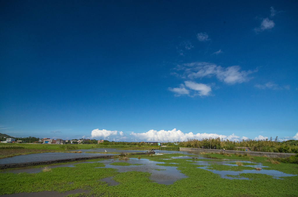 SWY_0425.JPG SWY_0425.JPG