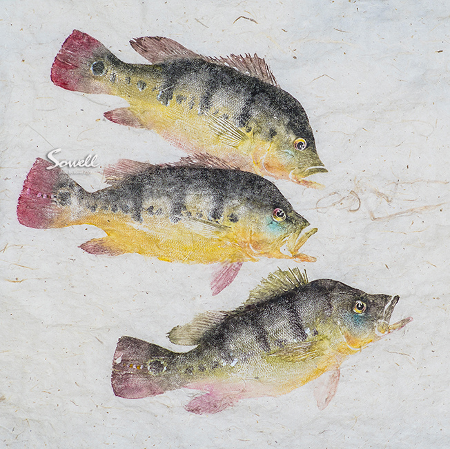 皇冠三間魚拓 (細麻紙).jpg 皇冠三間魚拓 (細麻紙).jpg