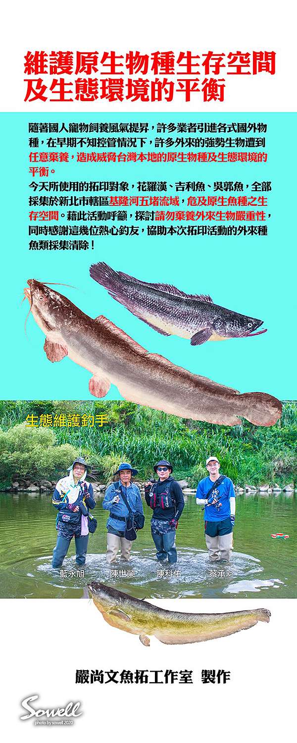 草里釣魚吧魚拓diy教學活動 嚴尚文的魚拓世界 生態筆記 痞客邦