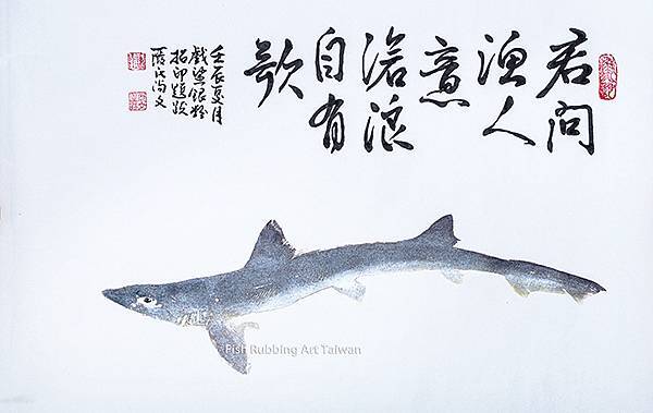 小鯊魚魚拓.jpg