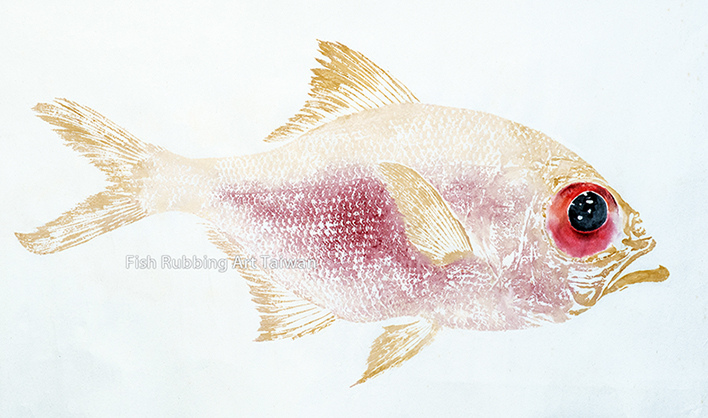 白化紅皮刀魚拓.jpg