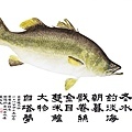 金目鱸大物-1.jpg