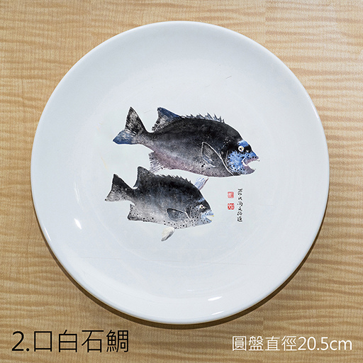 2.口白石鯛.jpg 2.口白石鯛.jpg